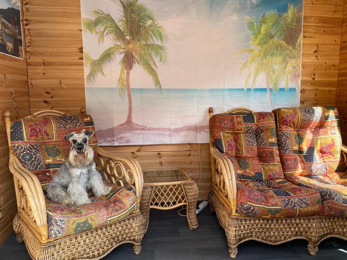 Ivy Coastal Cottage カイスター・オン・シー エクステリア 写真